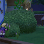 シーラさんみっけ